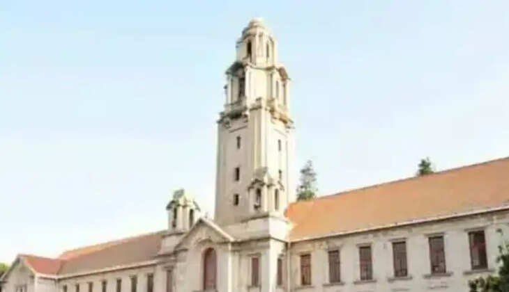 பல்கலைக்கழகம்