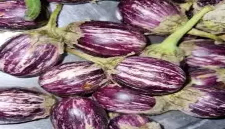 கத்திரிக்காய்