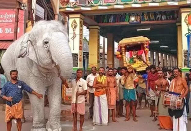 வெள்ளை யானை