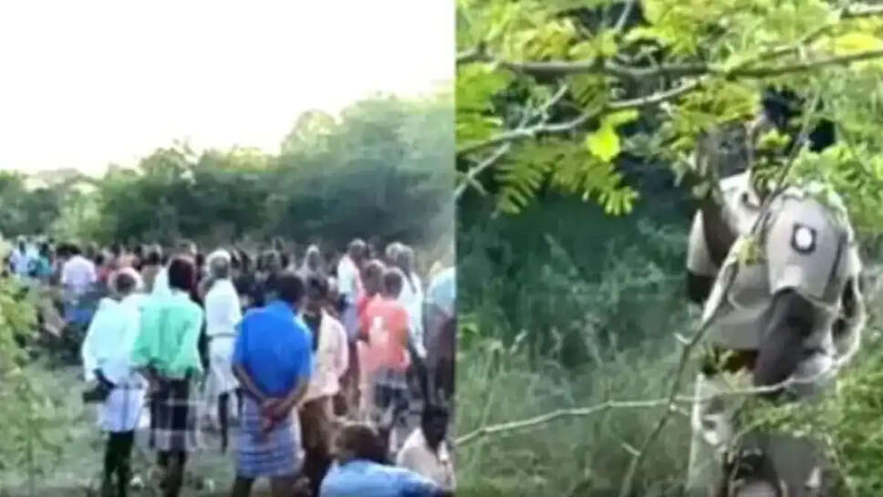 தூத்துக்குடி