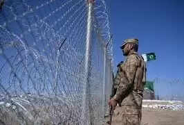 தாலிபான்