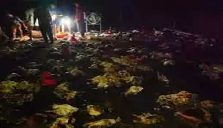 தீ விபத்து கோழி