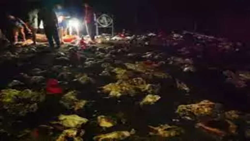 தீ விபத்து கோழி