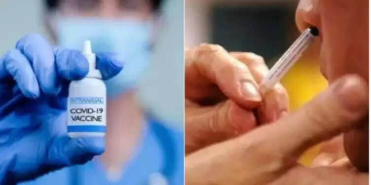 நாசல் தடுப்பூசி