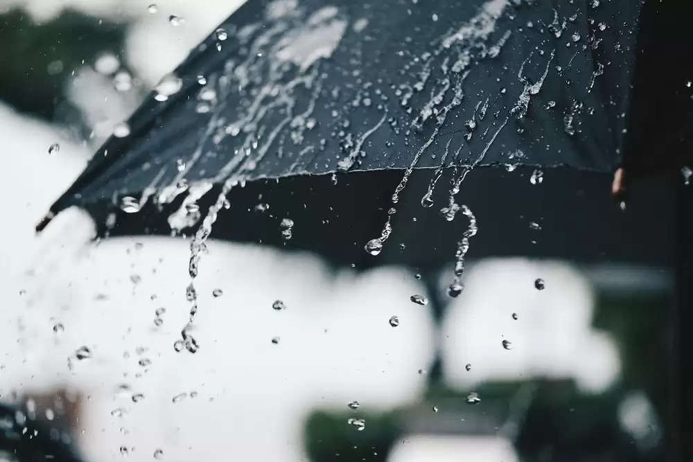 umbrella in Rain