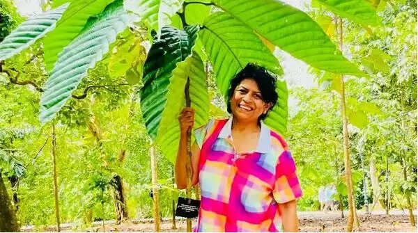 லாவ் குய் யிங்