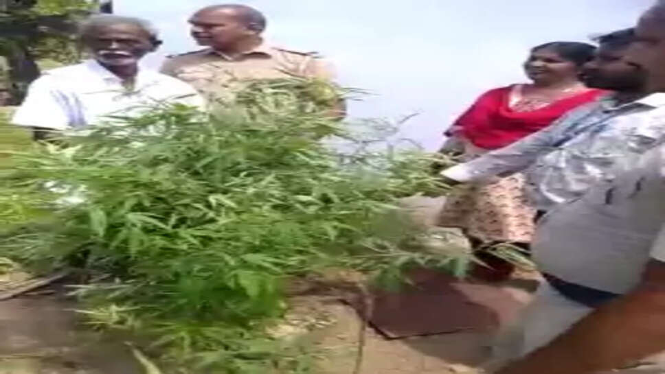 கஞ்சா விவசாயி கைது