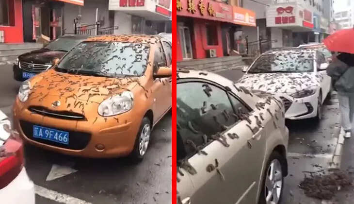 புழு மழை