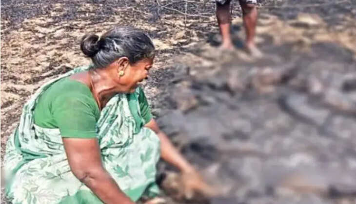 ஆடு கருகி