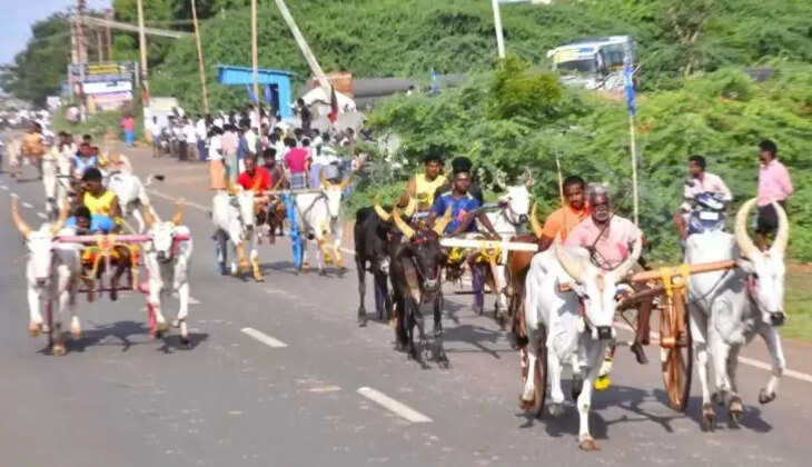 சிவகங்கை மாட்டு வண்டி