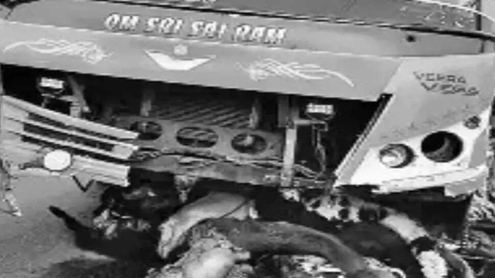 தெலுங்கானா ஆடு 