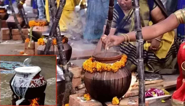 பொங்கல்