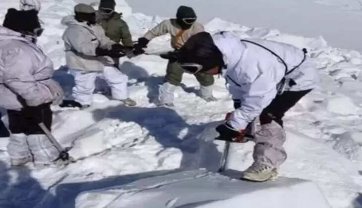 பனிச்சரிவு