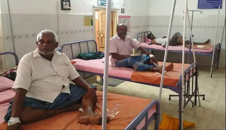 வெறிநாய்