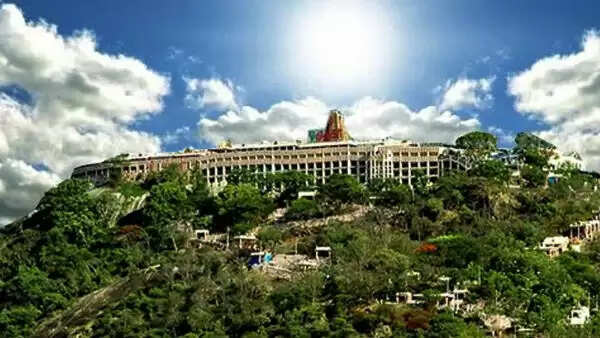 பழநி முருகன்