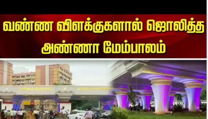 அண்ணா மேம்பாலம்