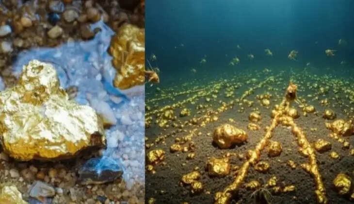 பசிபிக்