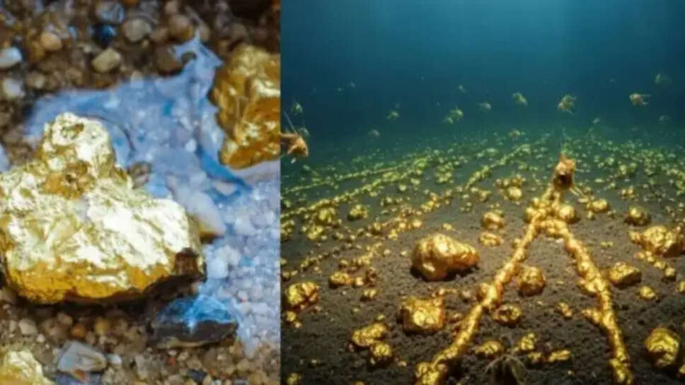 பசிபிக்