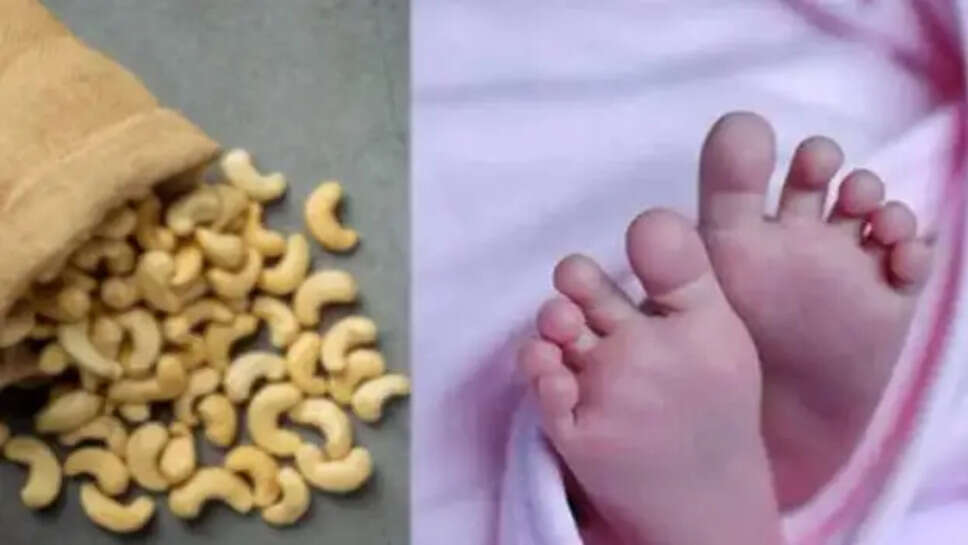 முந்திரி