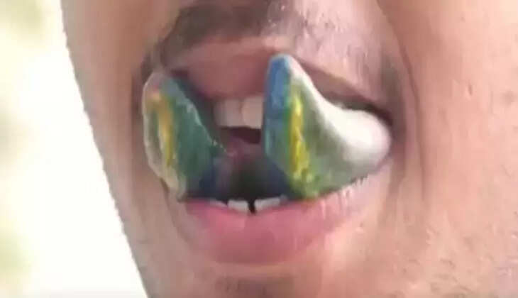 பாம்பு நாக்கு