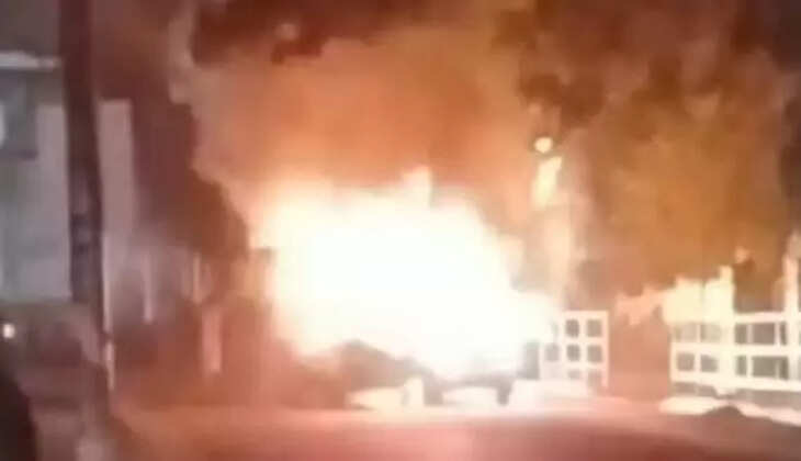 அனிலா கார்