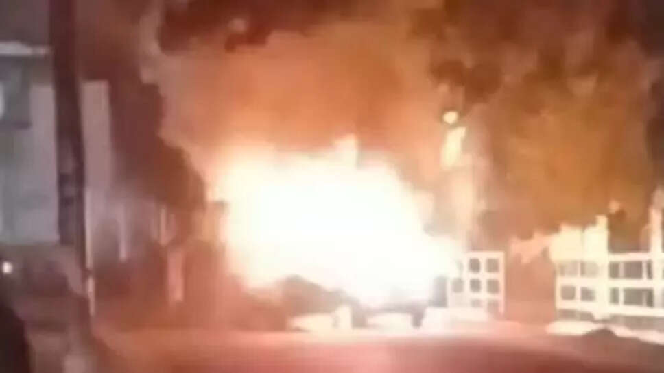 அனிலா கார்