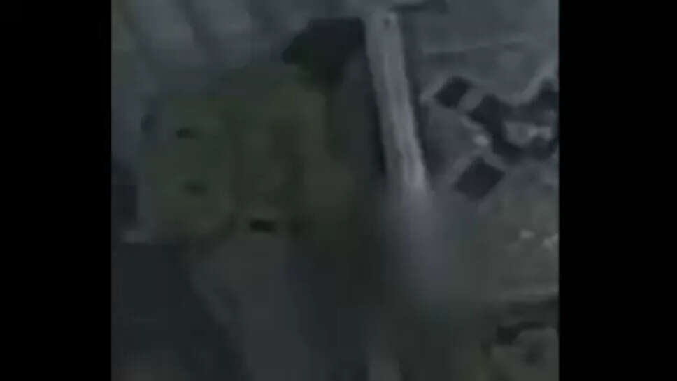 பாலஸ்தீன பெண் கைதி