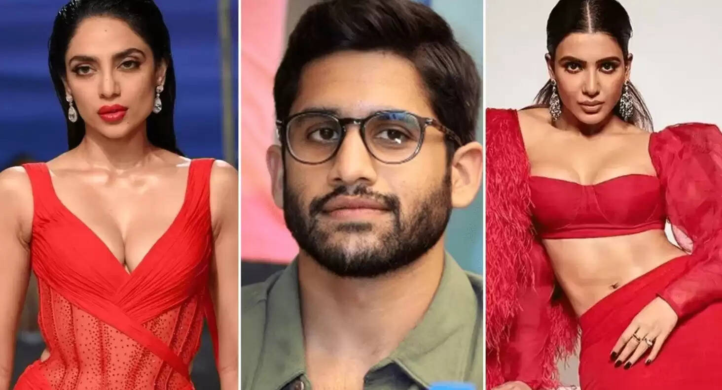 நாகசைதன்யா துலிபாலா