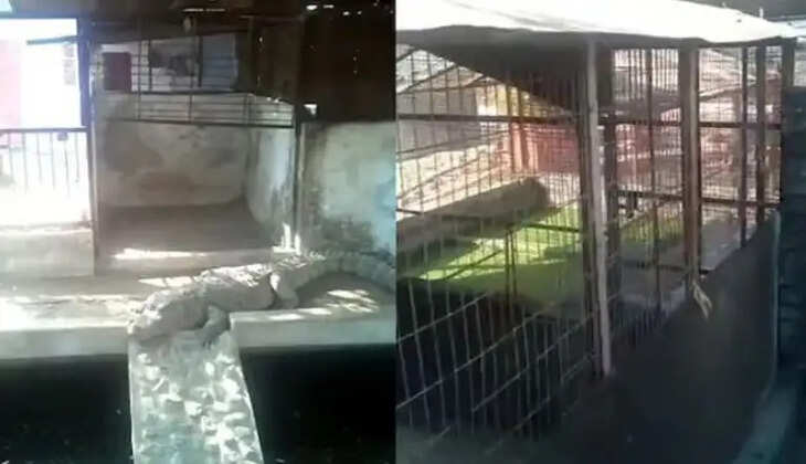 ஹர்வன்ஷ் சிங் ரத்தோர்