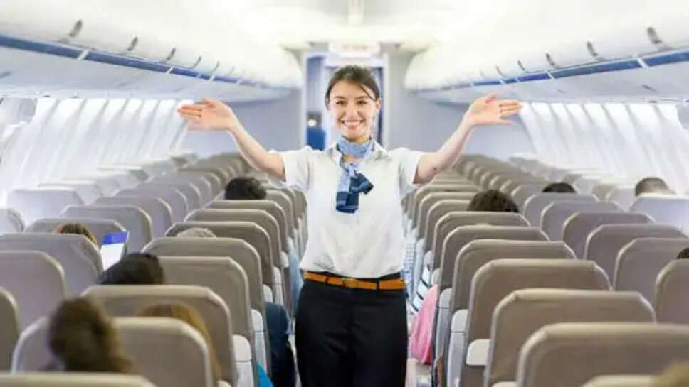 விமானம் விமான இருக்கை ஹேர் ஹோஸ்டஸ்