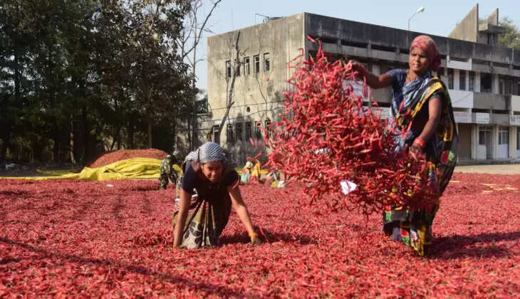 காய்ந்த மிளகாய்