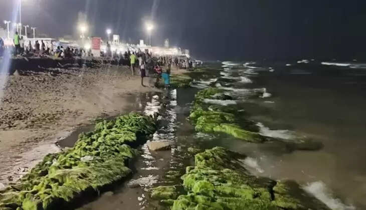 கடல் உள்வாங்கியது