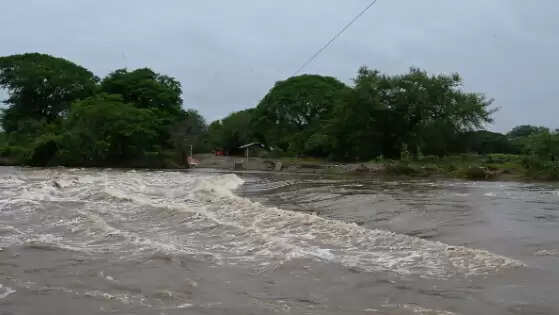 அமெரிக்கா