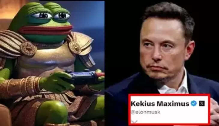 எலான் மஸ்க்