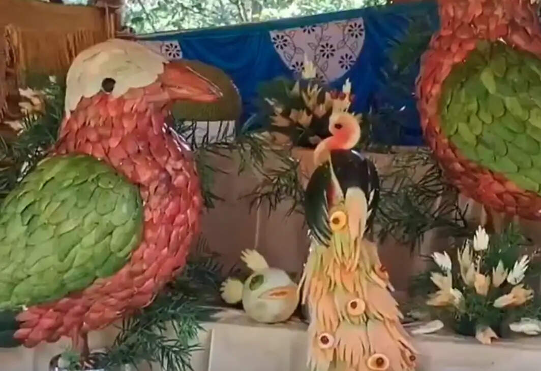 குன்னூர் நீலகிரி ஊட்டி சிம்ஸ் பூங்கா பழக்கண்காட்சி