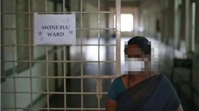 பன்றிக்காய்ச்சல் H1N1
