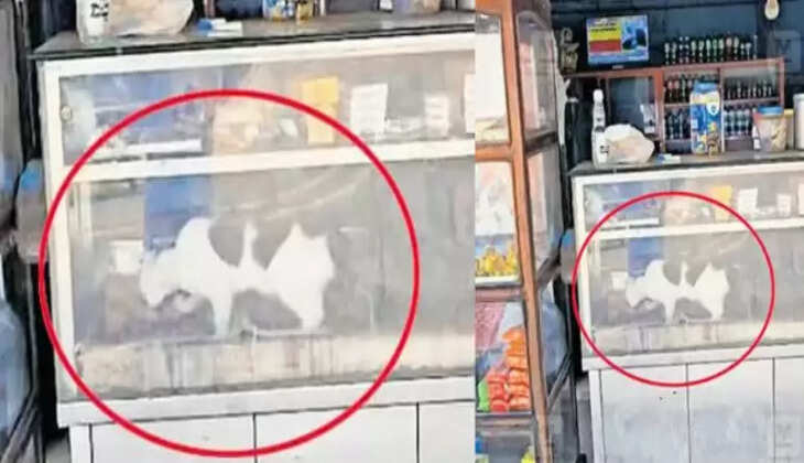 நெல்லநாடு ஹோட்டல்