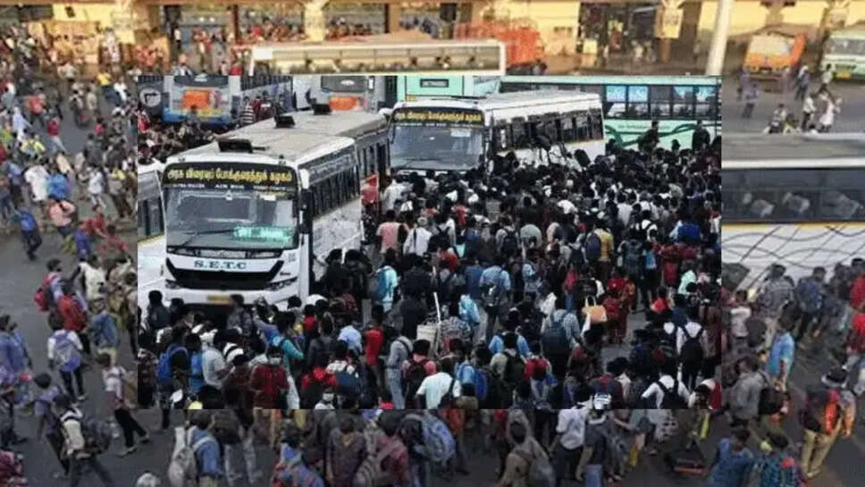 பேருந்து