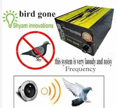 தண்டா் பூம்ஸ்