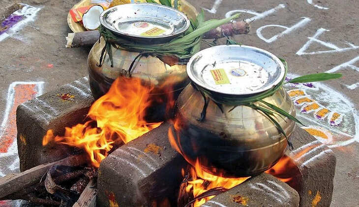 பொங்கல்