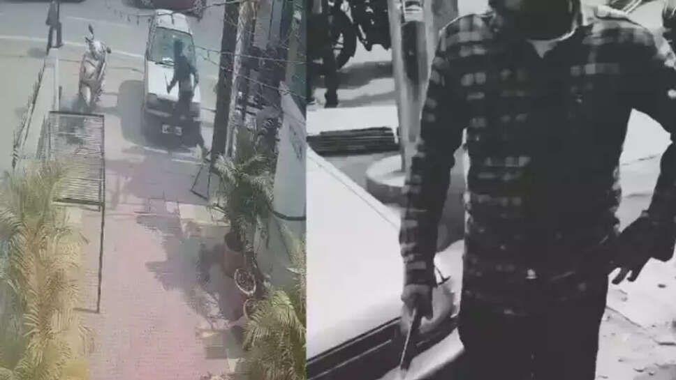 ஆரேலி மொகலி