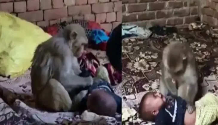 குரங்கு