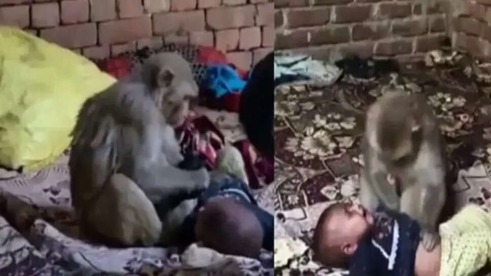 குரங்கு