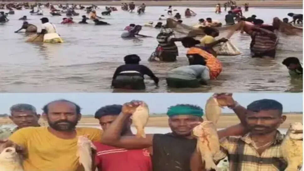 மீன்பிடித் திருவிழா