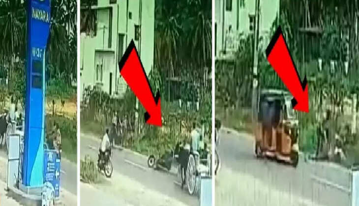 ரேக்ளா மாடு