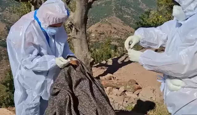 காய்ச்சல்