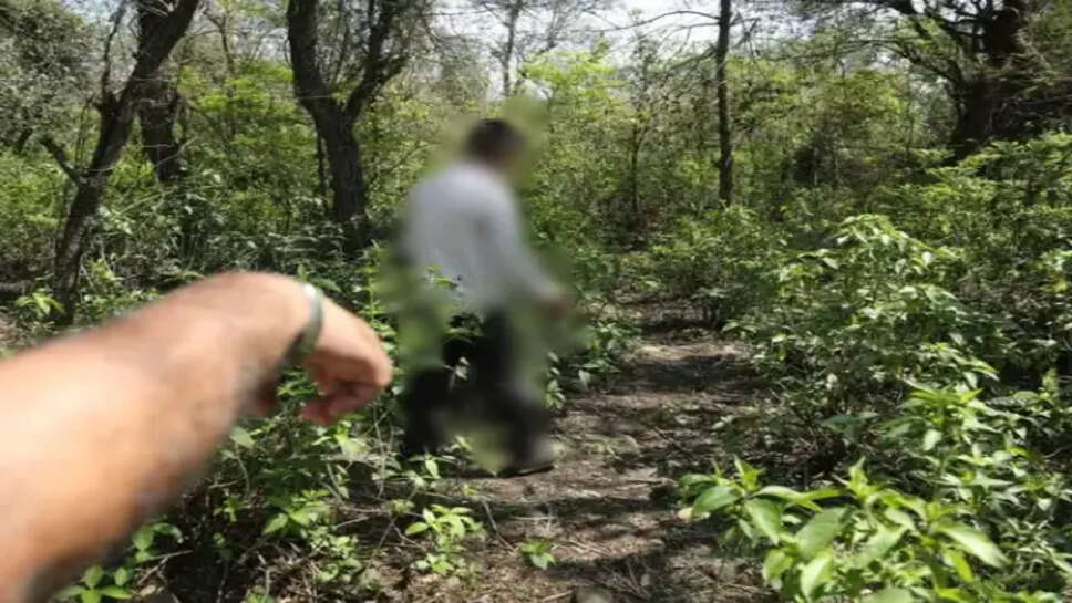 காடு வனப்பகுதி பலாத்காரம் தோட்டம் கொலை