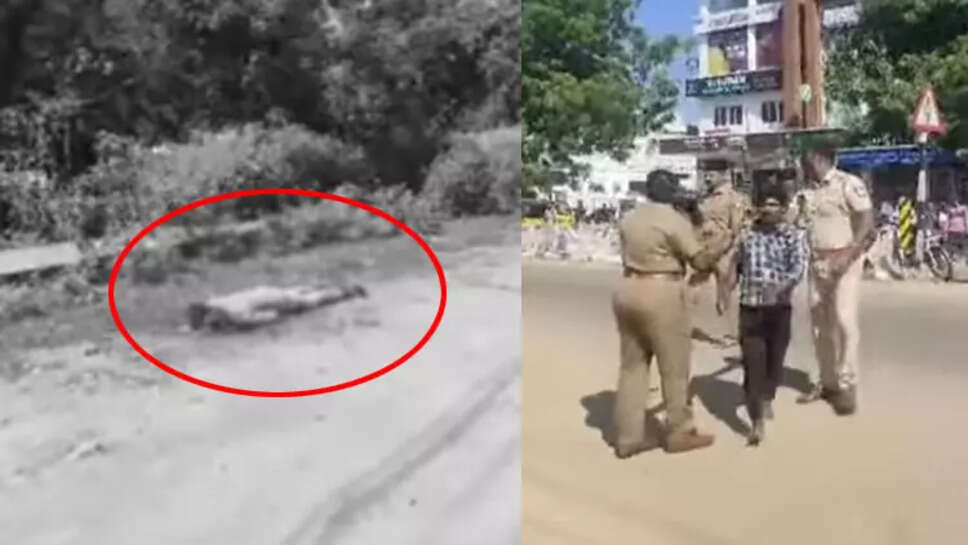 மாயாண்டி