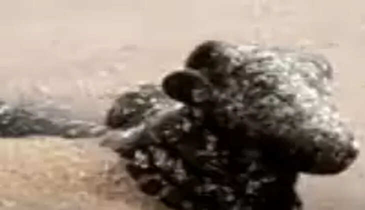 நந்தி சிலை