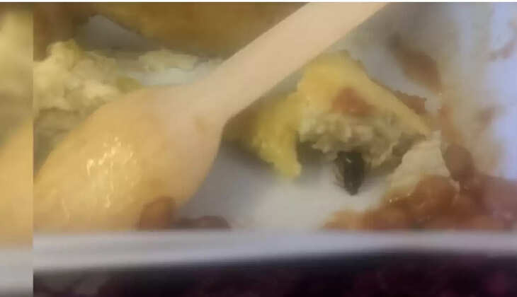 கரப்பான்